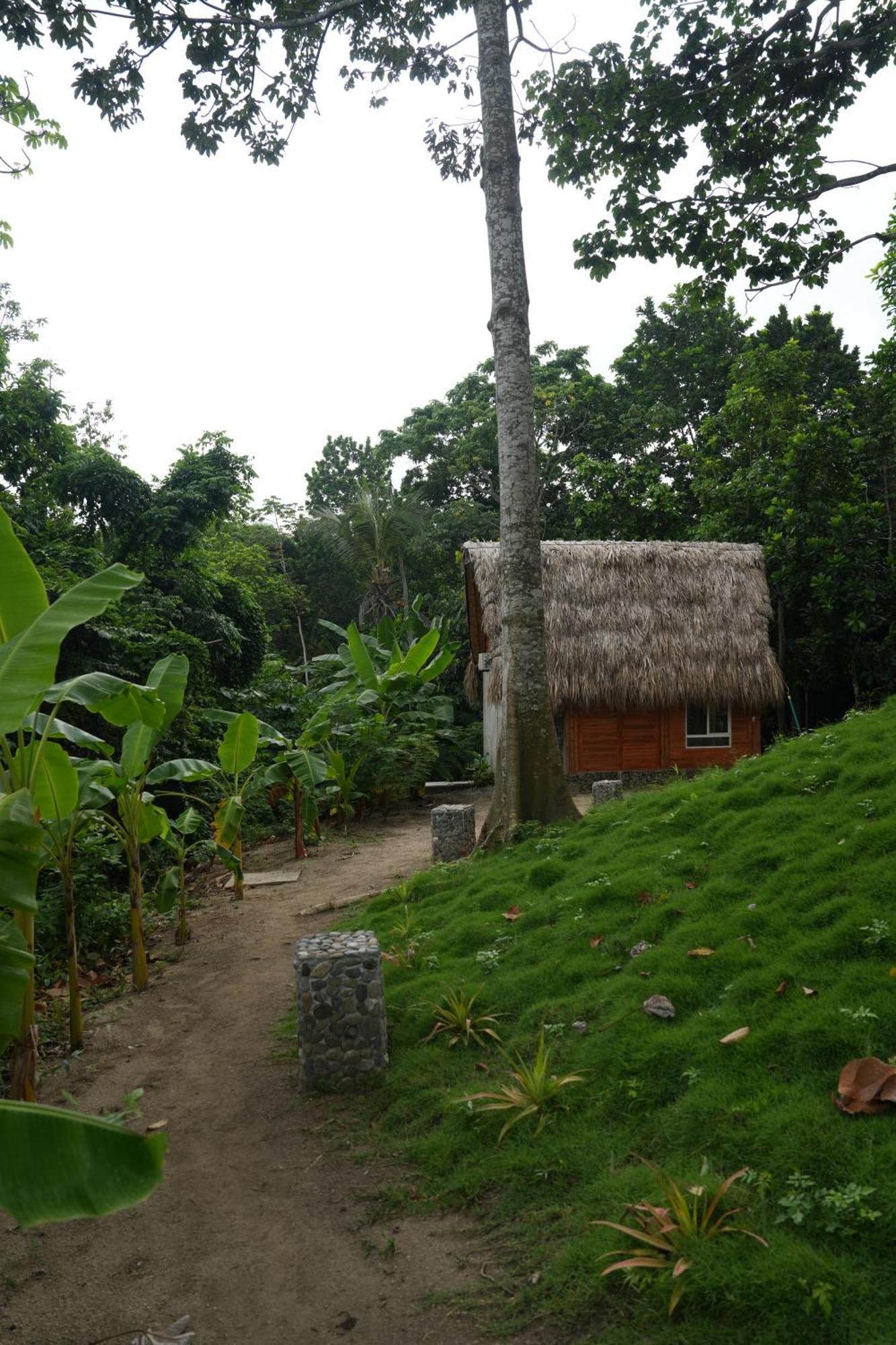 Tiny Houses Unique Tayrona - Dentro Del Parque Tayrona El Zaino Zewnętrze zdjęcie
