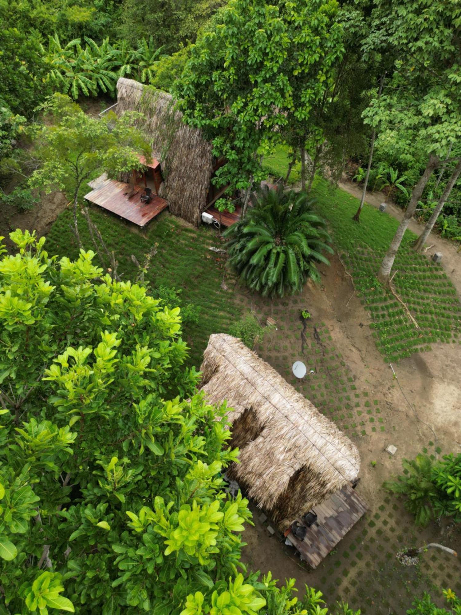 Tiny Houses Unique Tayrona - Dentro Del Parque Tayrona El Zaino Zewnętrze zdjęcie
