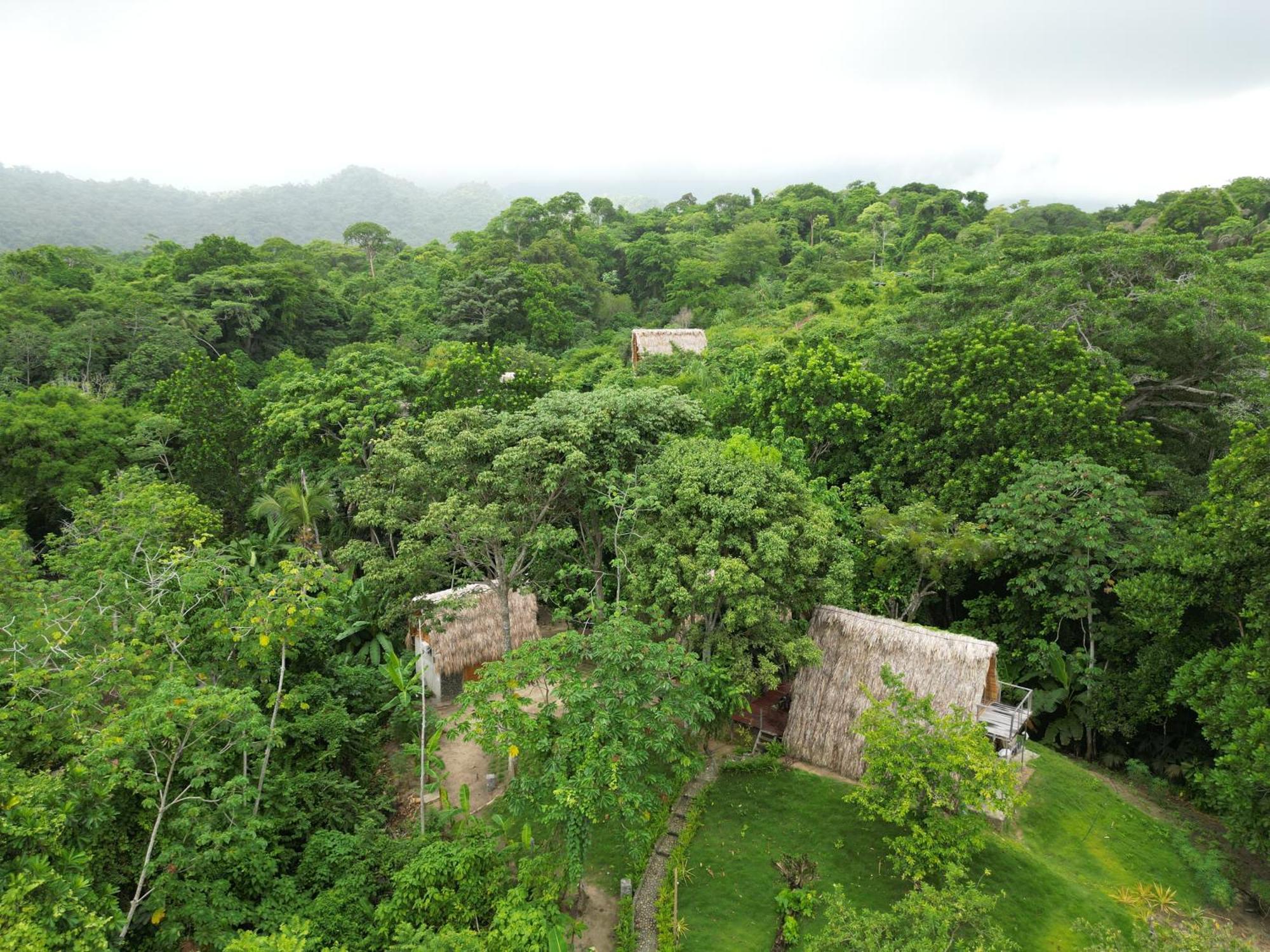 Tiny Houses Unique Tayrona - Dentro Del Parque Tayrona El Zaino Zewnętrze zdjęcie