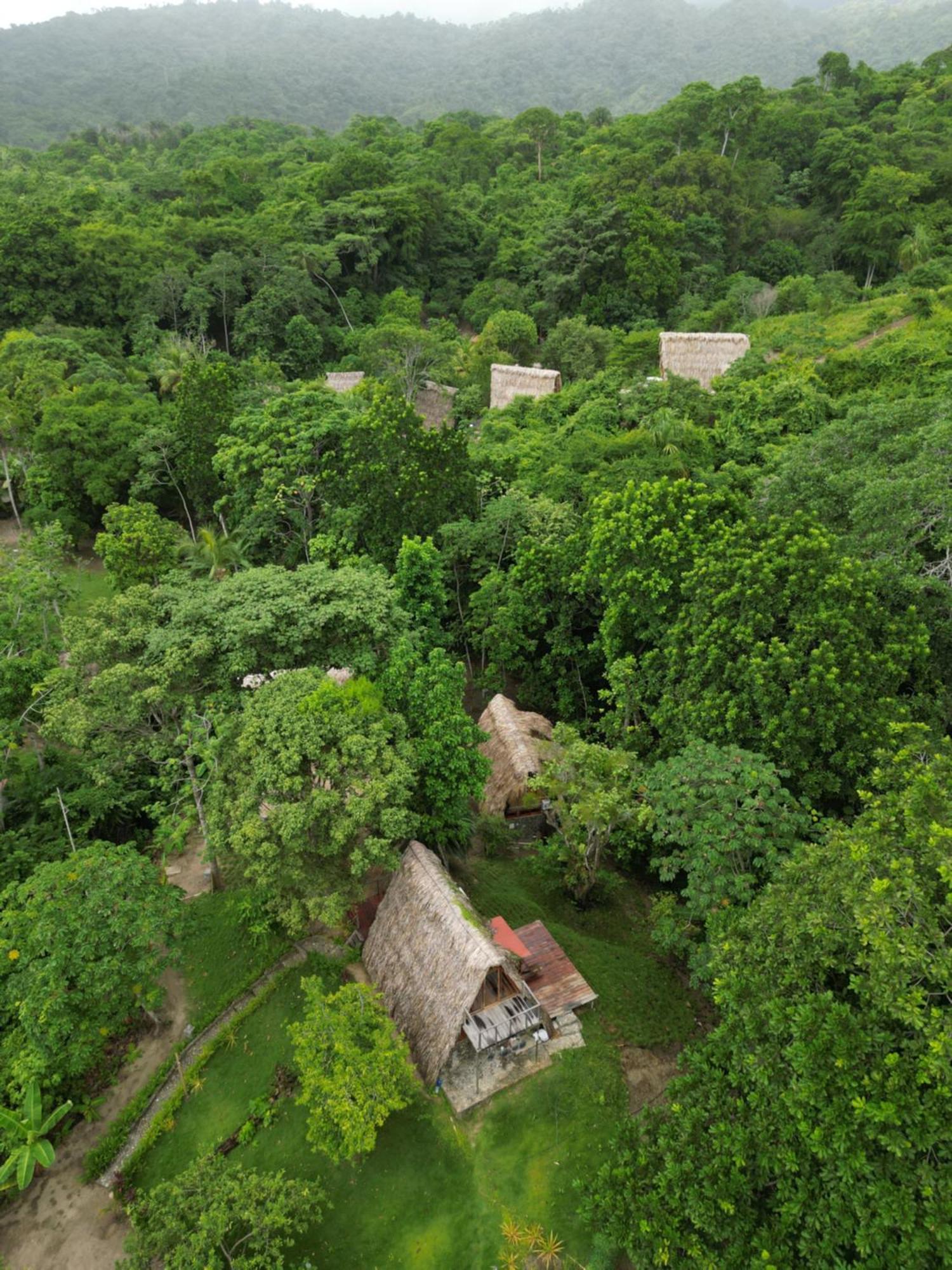 Tiny Houses Unique Tayrona - Dentro Del Parque Tayrona El Zaino Zewnętrze zdjęcie