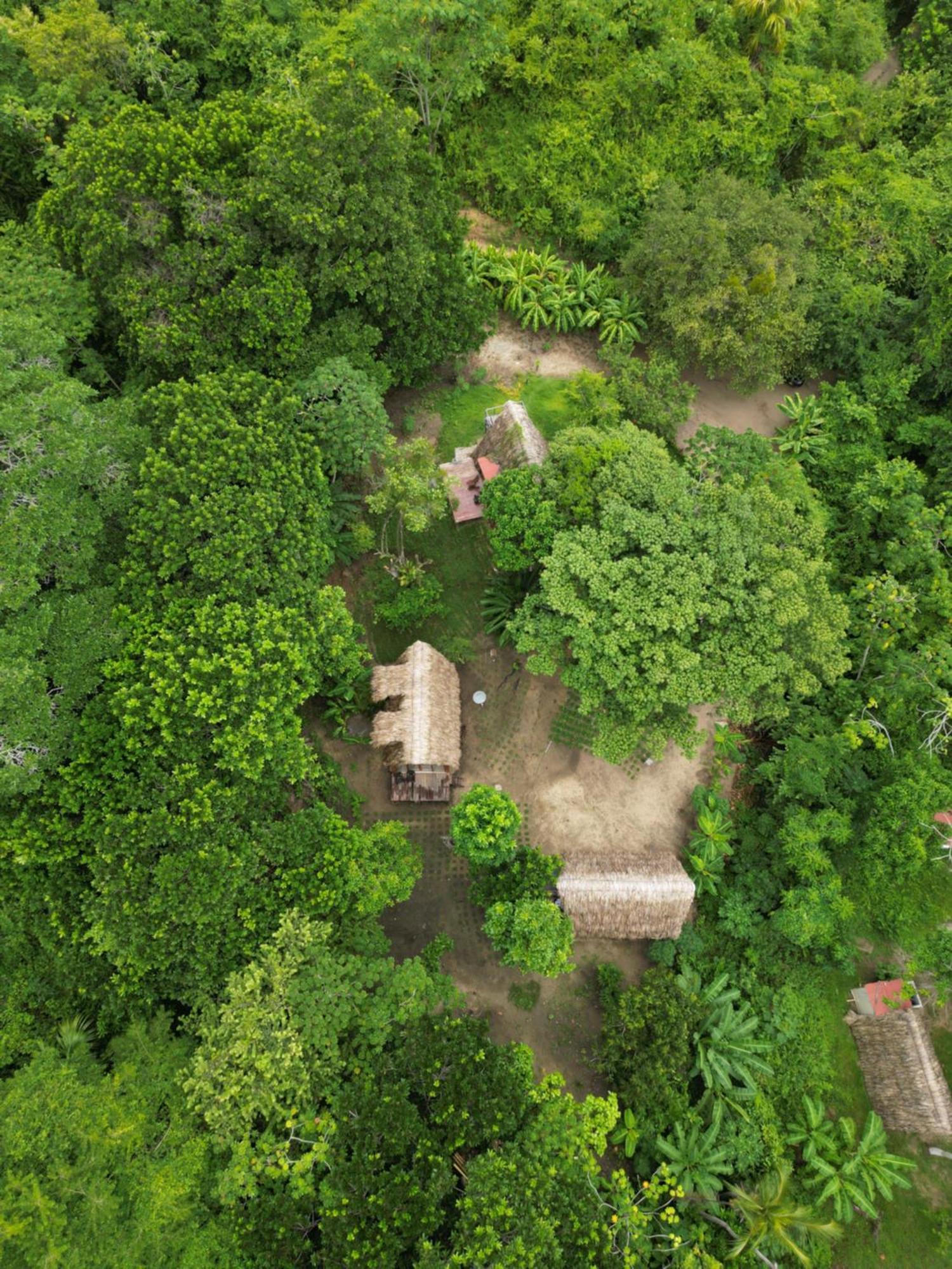 Tiny Houses Unique Tayrona - Dentro Del Parque Tayrona El Zaino Zewnętrze zdjęcie