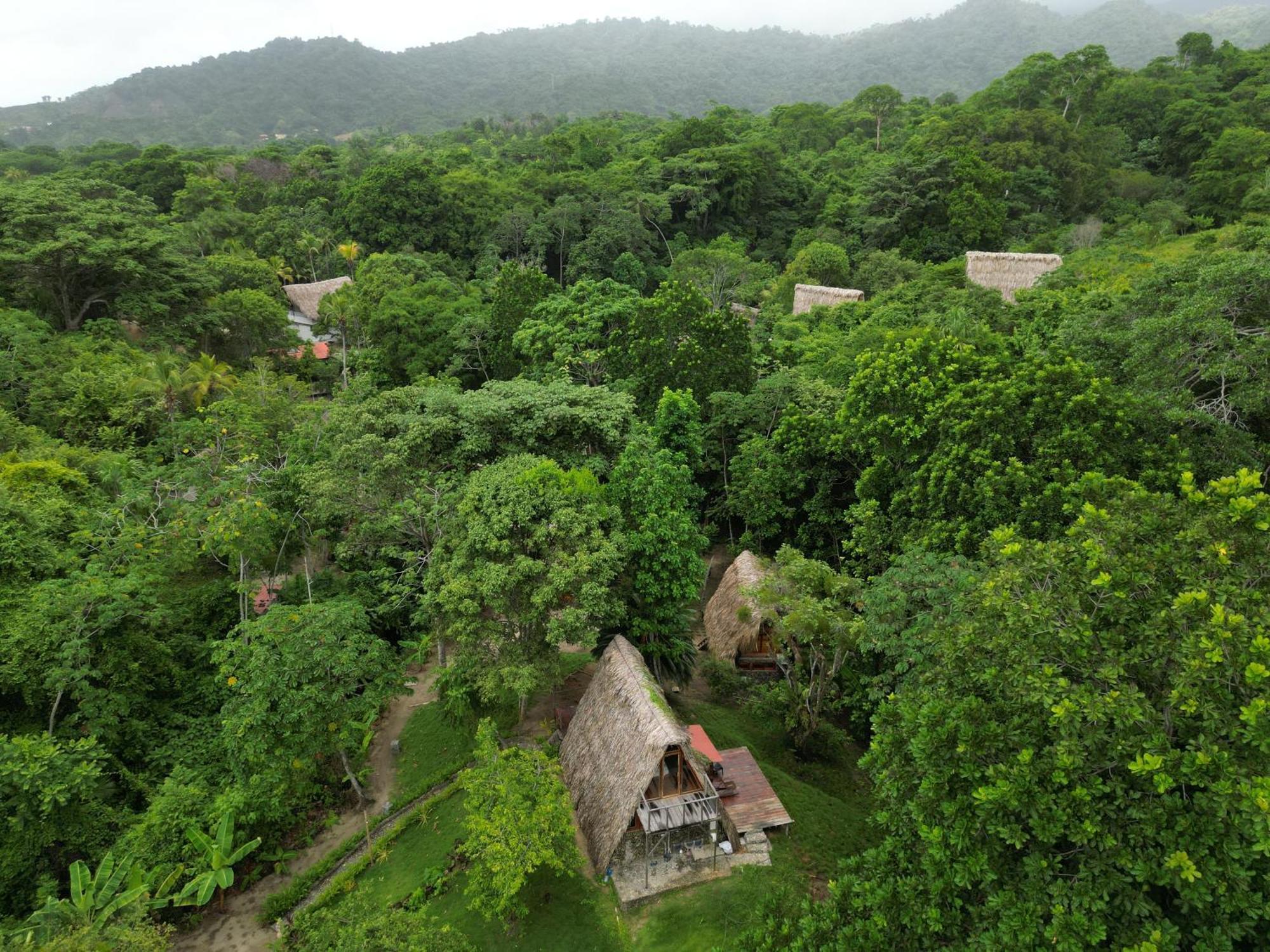 Tiny Houses Unique Tayrona - Dentro Del Parque Tayrona El Zaino Zewnętrze zdjęcie