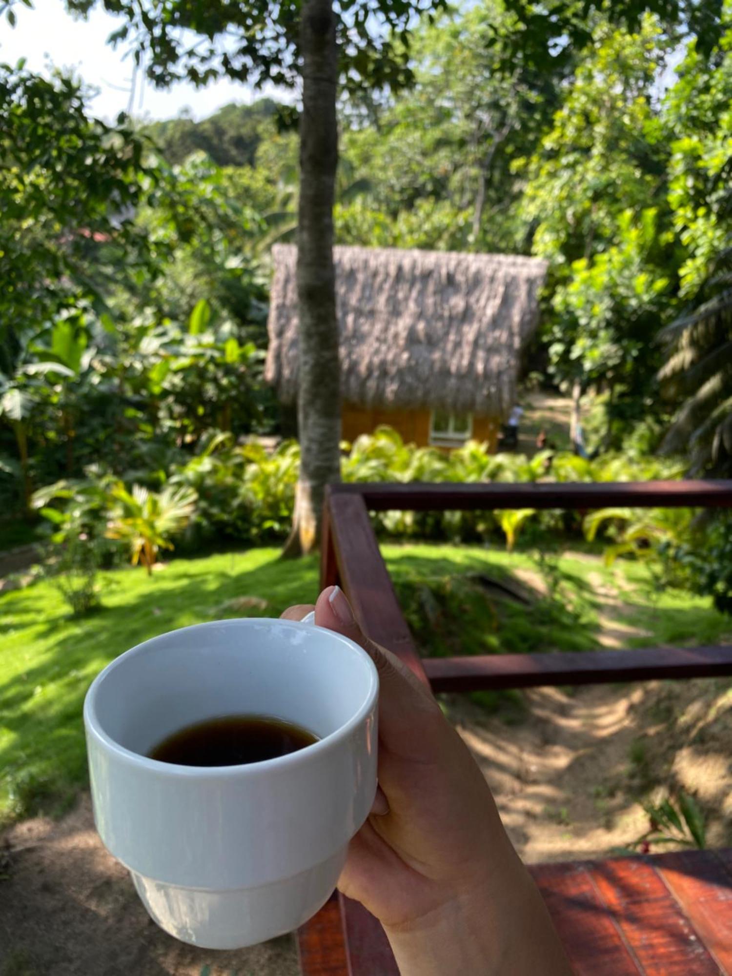 Tiny Houses Unique Tayrona - Dentro Del Parque Tayrona El Zaino Zewnętrze zdjęcie