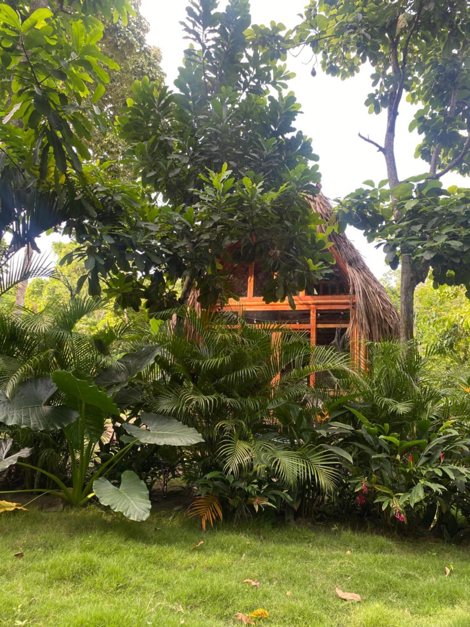 Tiny Houses Unique Tayrona - Dentro Del Parque Tayrona El Zaino Zewnętrze zdjęcie